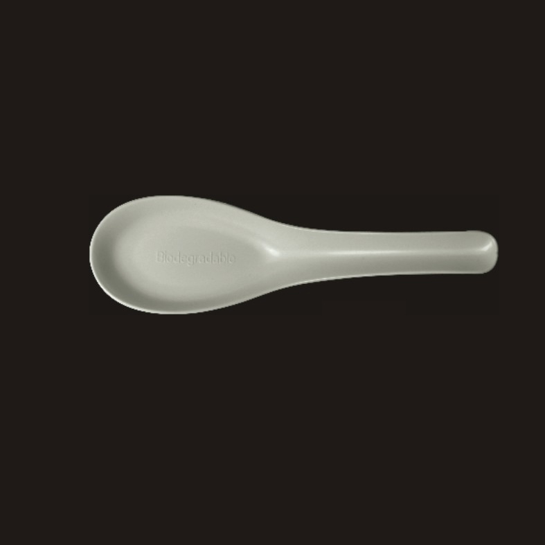 Chinese Spoon